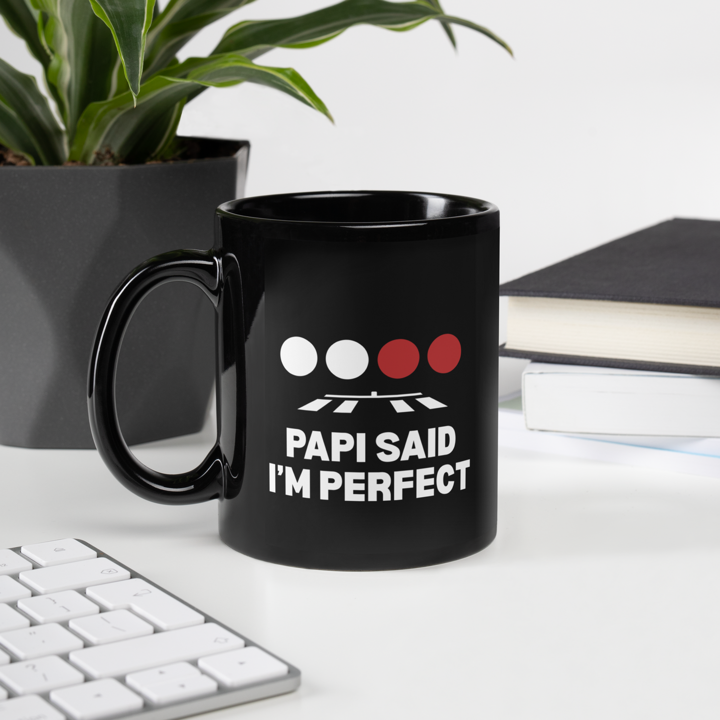 Pilot Mug – PAPI SAID I'M PERFECT